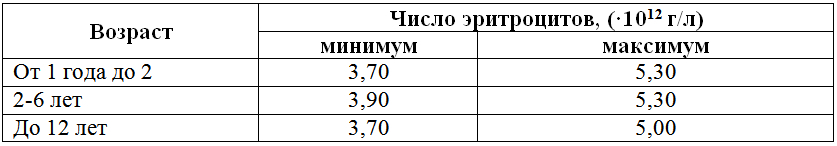 место отмирания эритроцитов